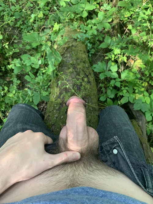 The masculine urge to whip out your hog on a log.