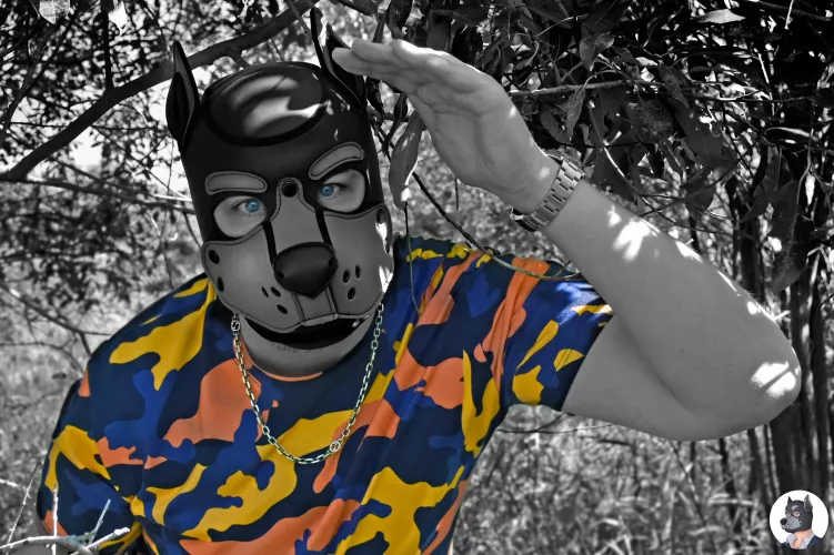 Where's Wooooofy? 2.0 🐺