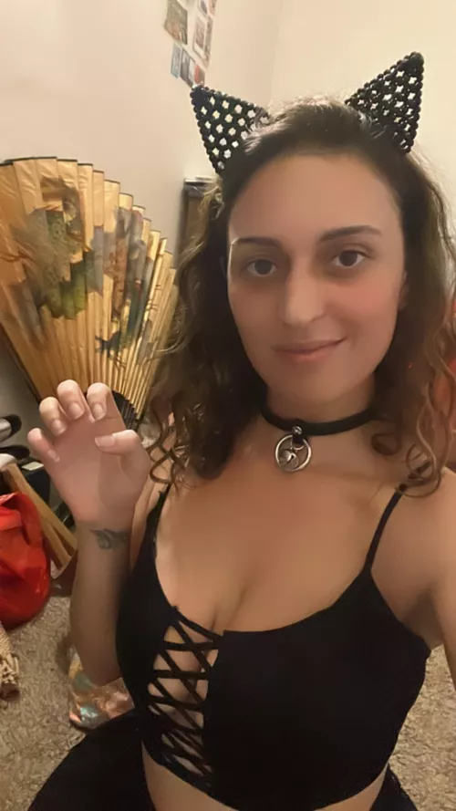 Feeling cute in my ears and collar 🖤