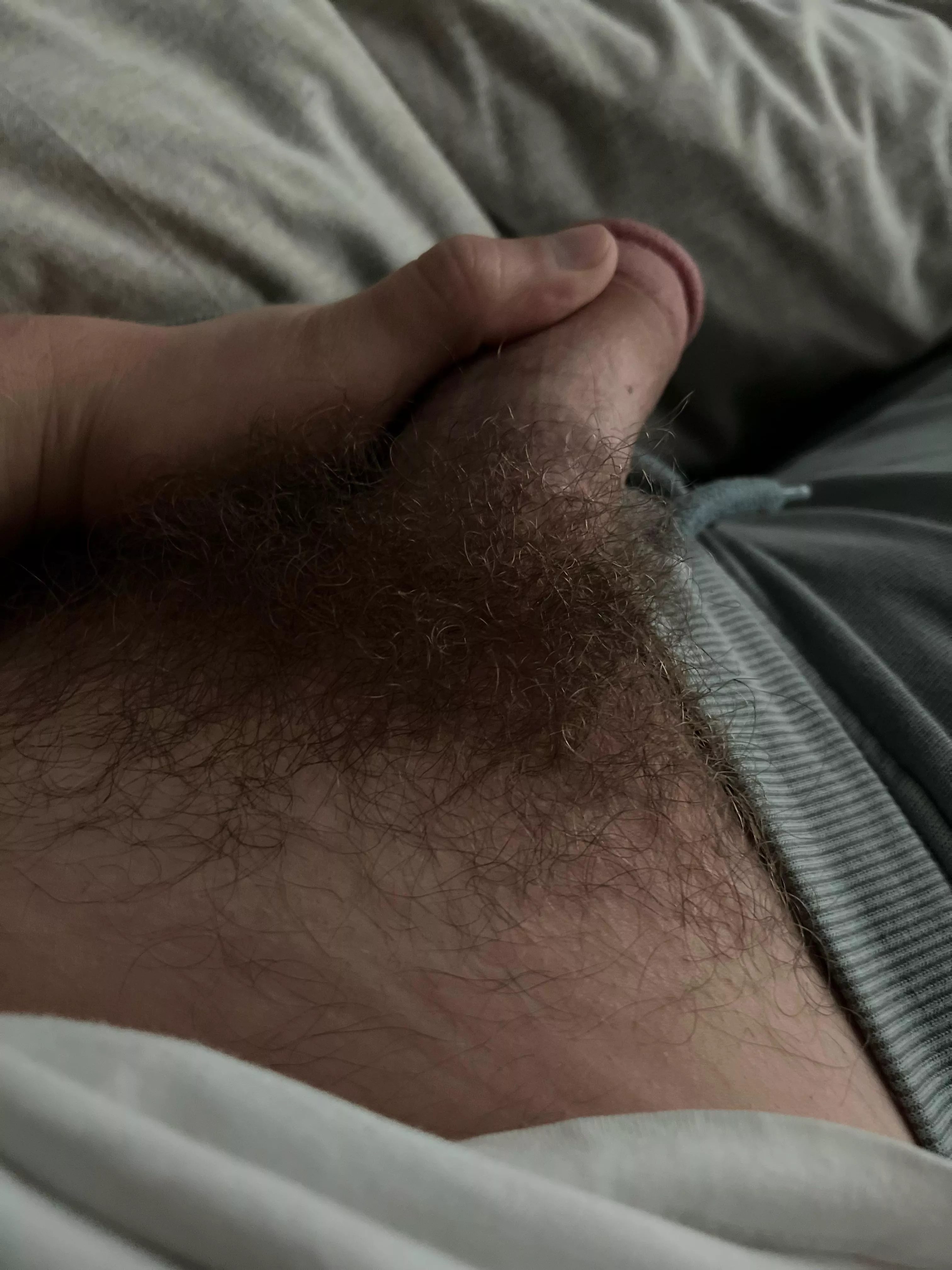 How’s my bush?