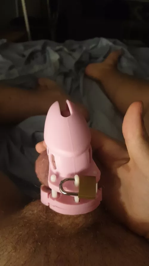 Second day locked and dying to cum. So hard to be disciplined without a keyholder