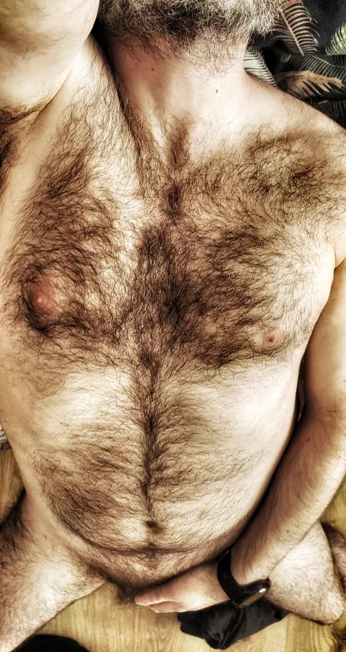 Anyone for some afternoon delight?