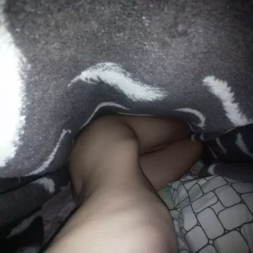 getting warm under the blanket🔥