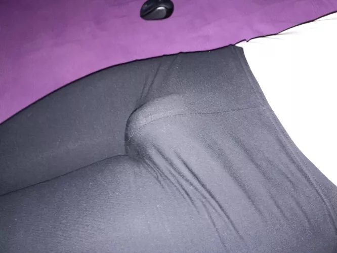 Just my softie in tights