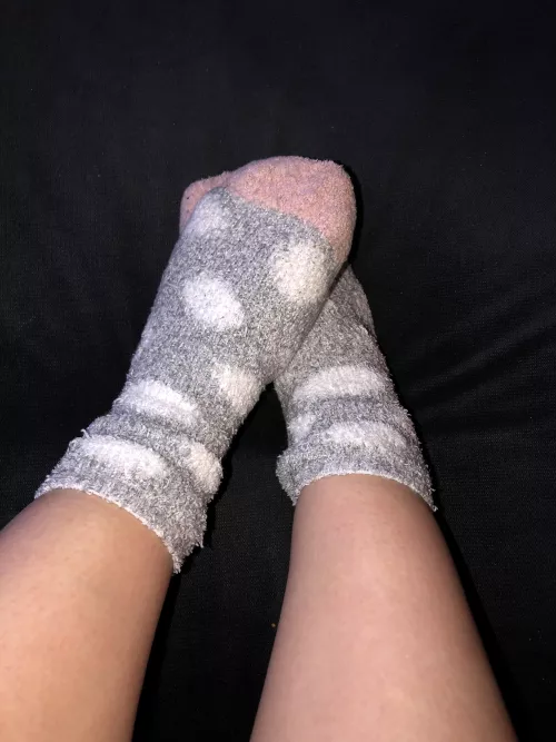 My feet have been getting nice and sweaty in my fuzzy socks today, come take a sniff😇