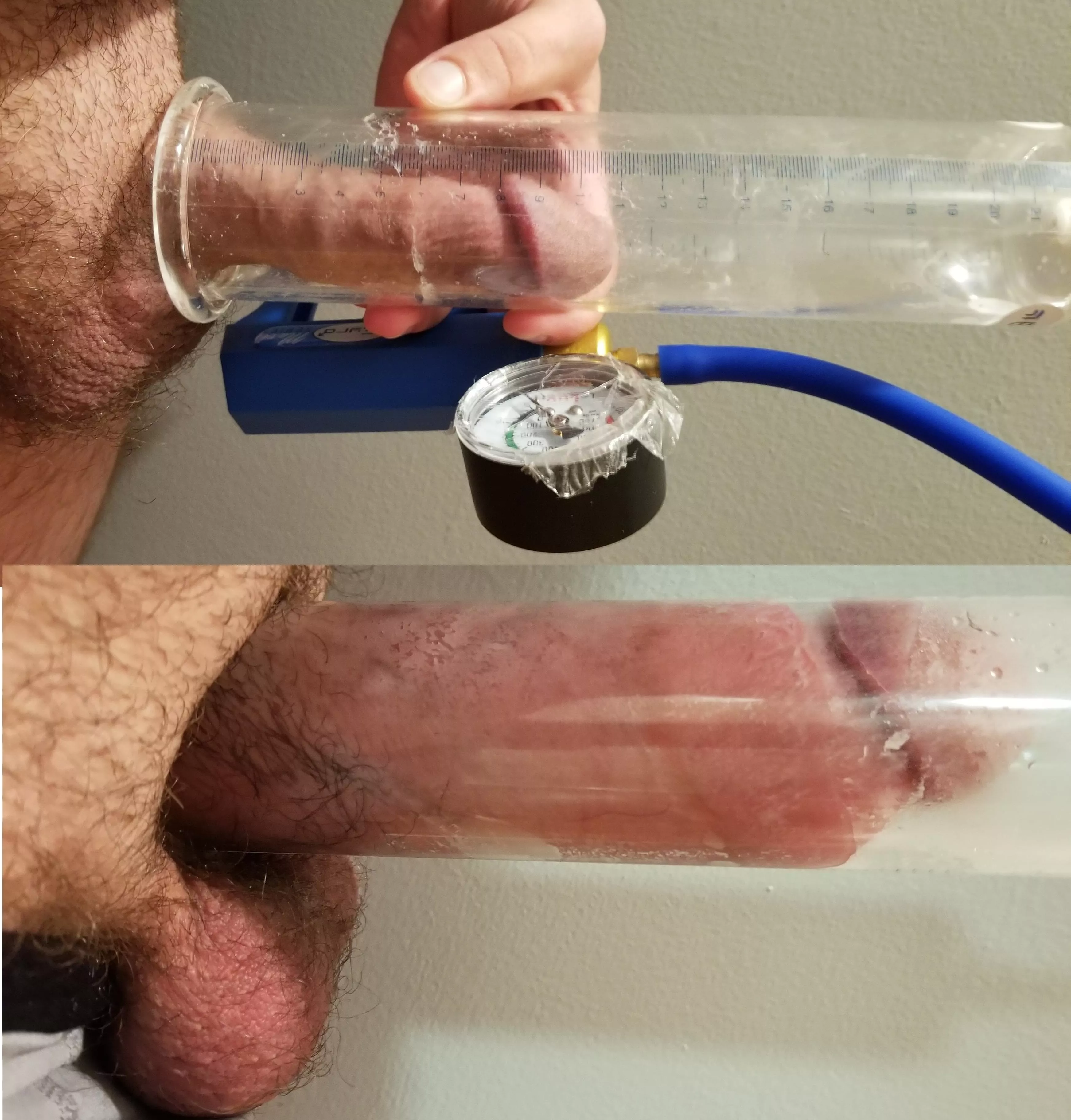 plumped