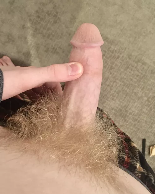any twink cock lovers?