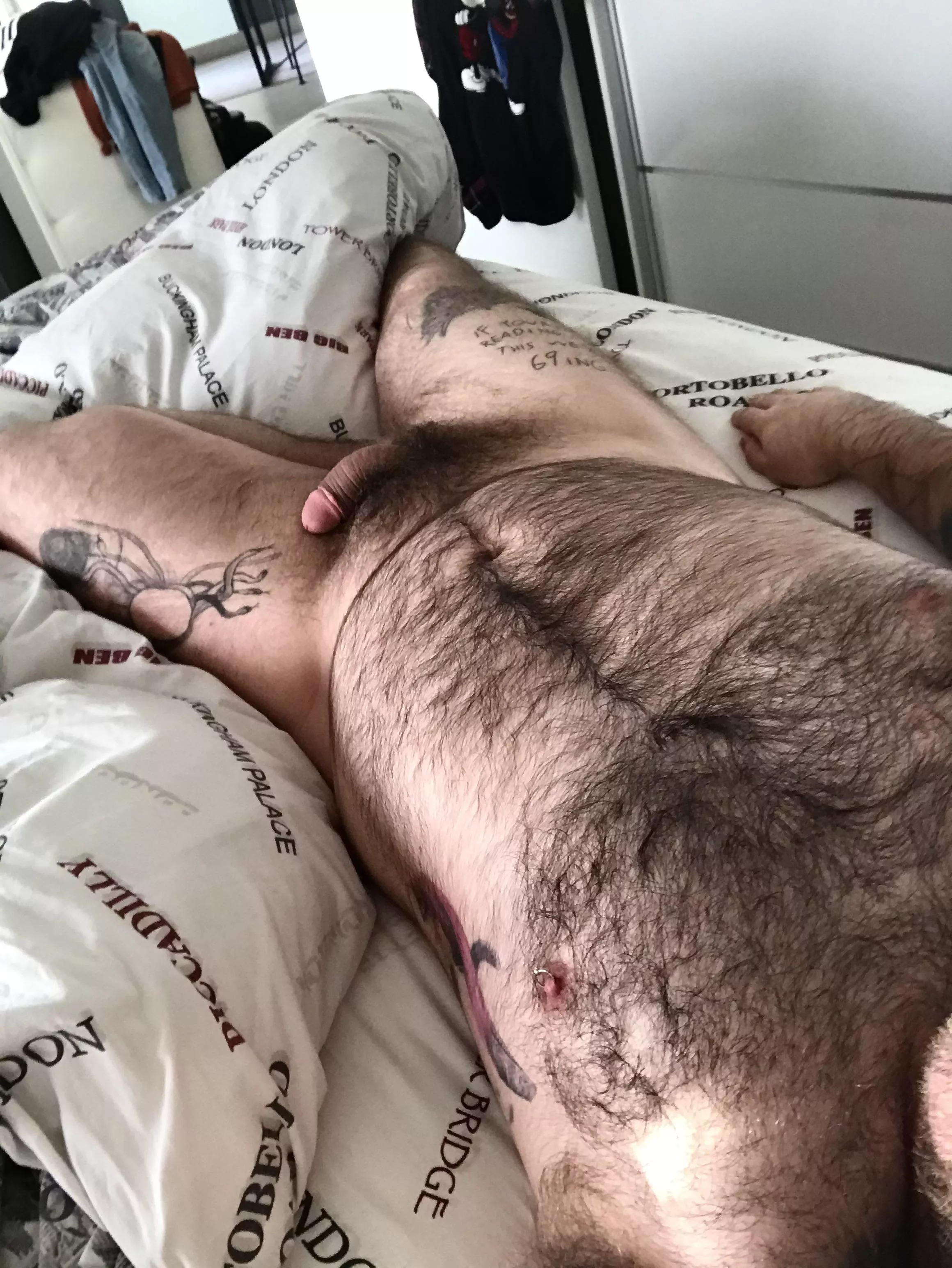 Bear with hair