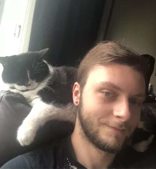 I said we lazy today