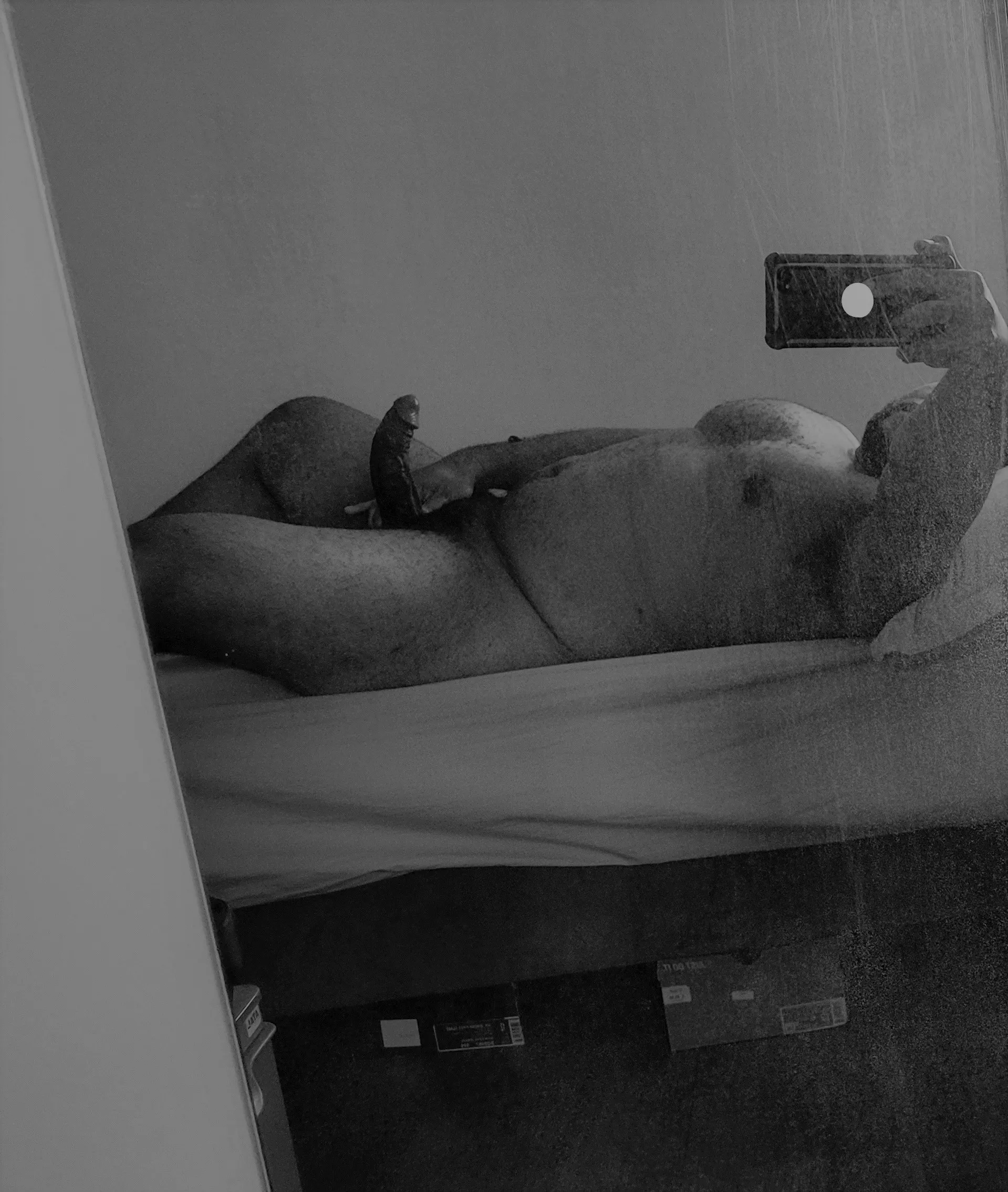 Morning wood