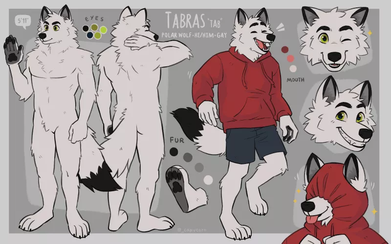 Ref sheet for someone on Twitter (art by me _capycorn)