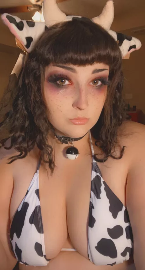 Goth cows, question mark?🖤🐮