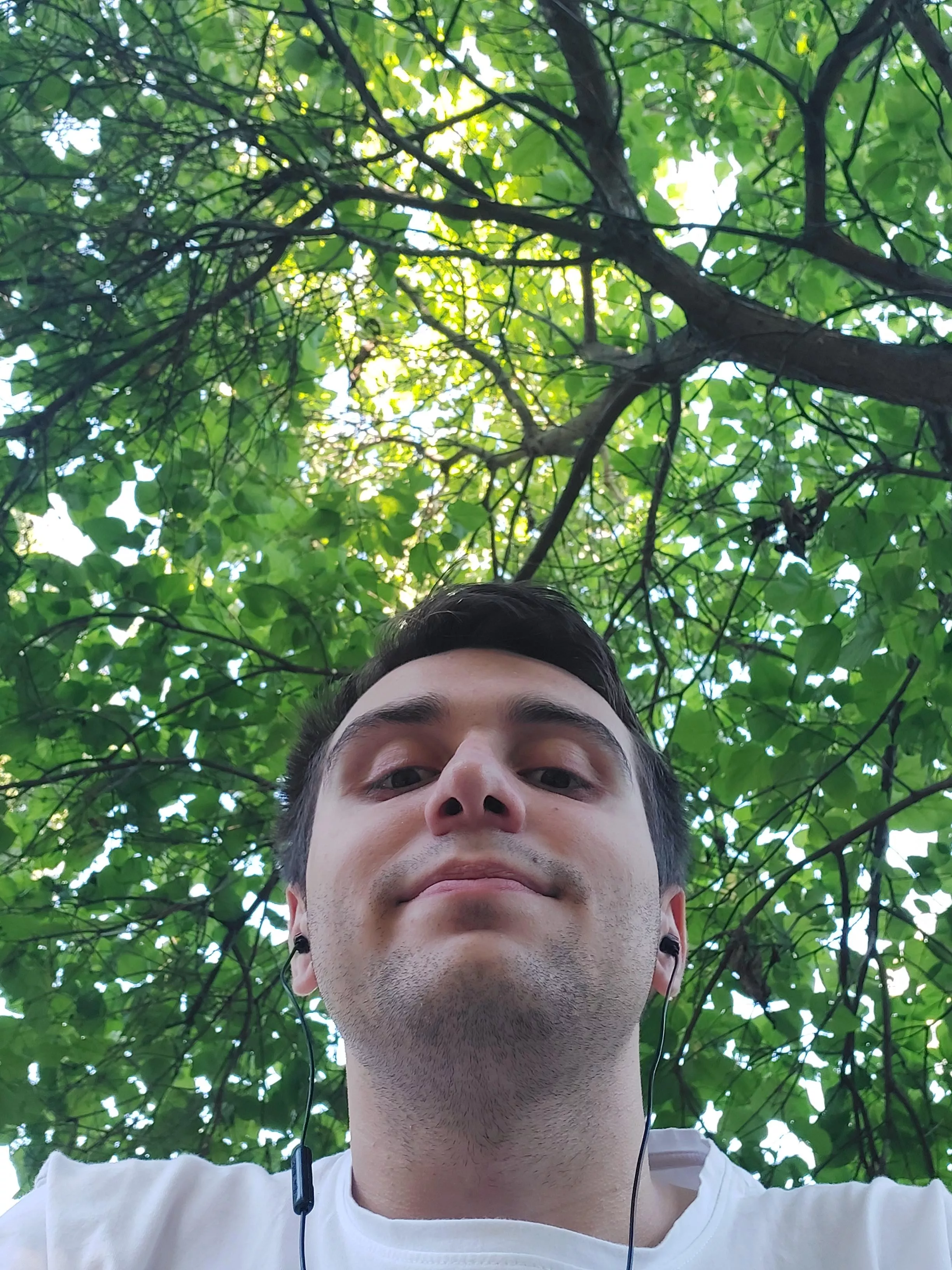 in the nature