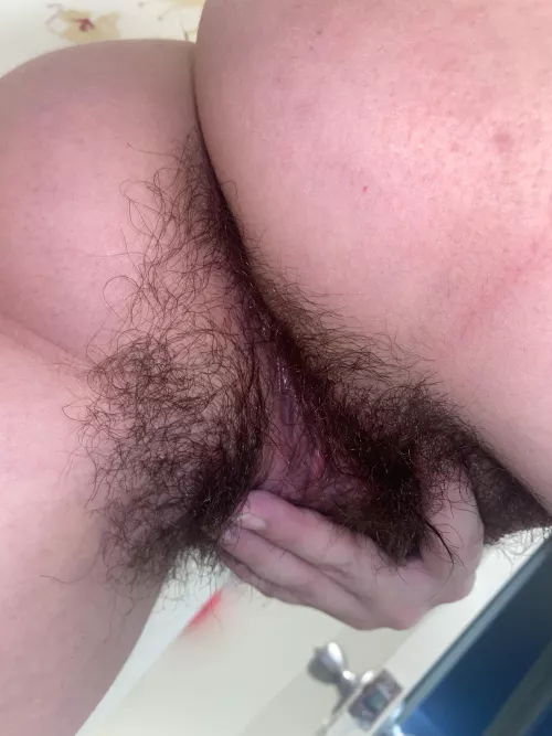 Insert your face here: