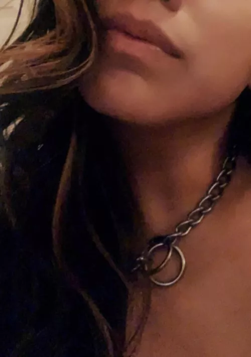 It’s a dog eat dog world, right? Maybe that’s why he makes me wear this collar. 🤷🏻‍♀️[f]