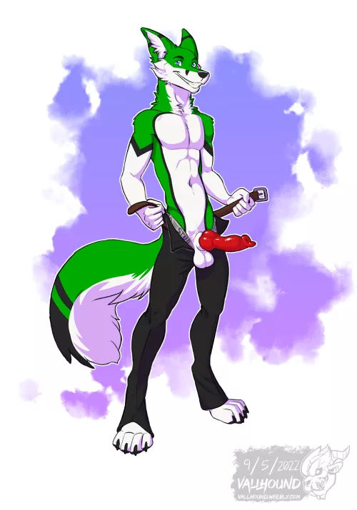 Take a Close Look~ (Vallhund)