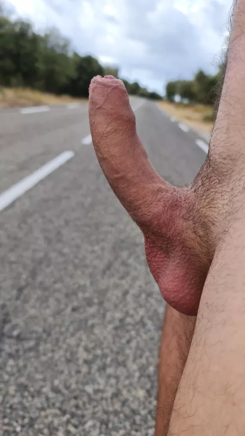 Who hitchhikes me? 😋