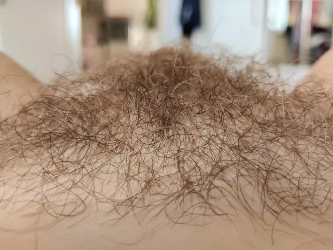 Who wants to rest there? 🪴😌