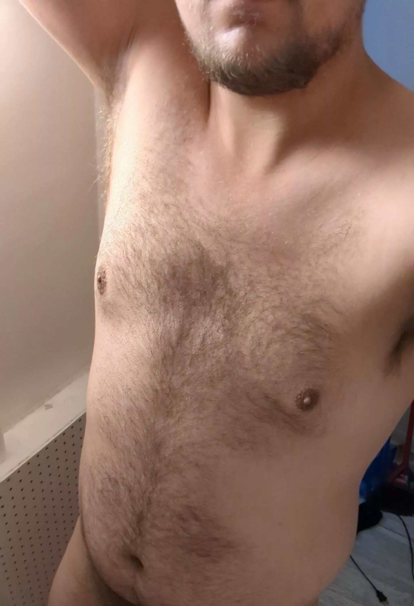 happy tummy Tuesday. who else loves hairy bellies?