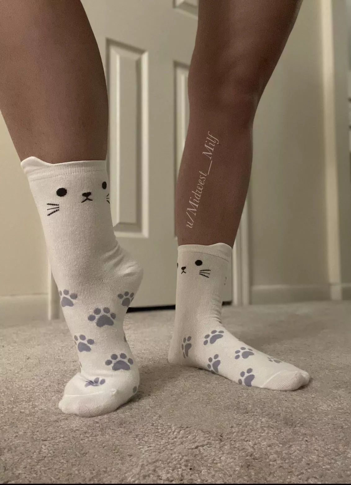 Look how cute these cat socks are!