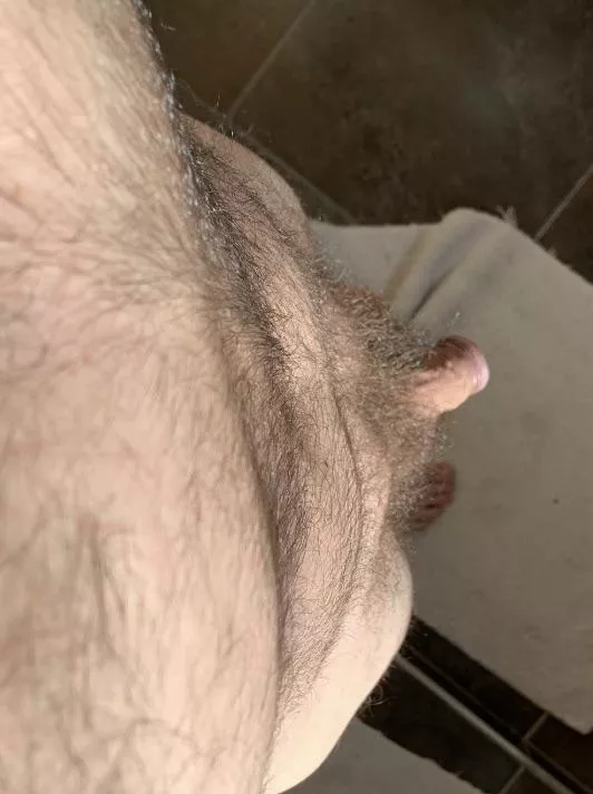 POV softy