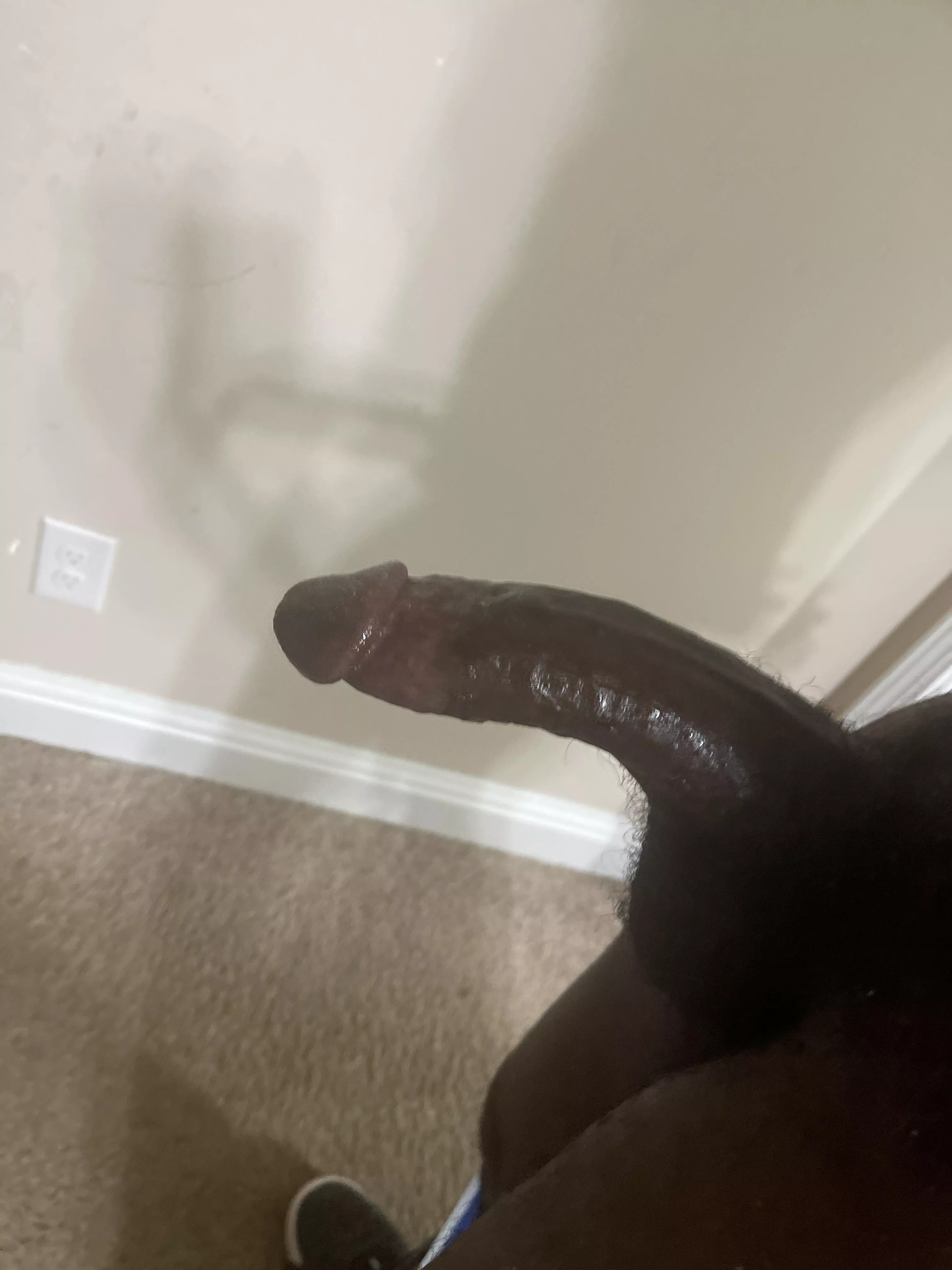 Suck or Fuck?