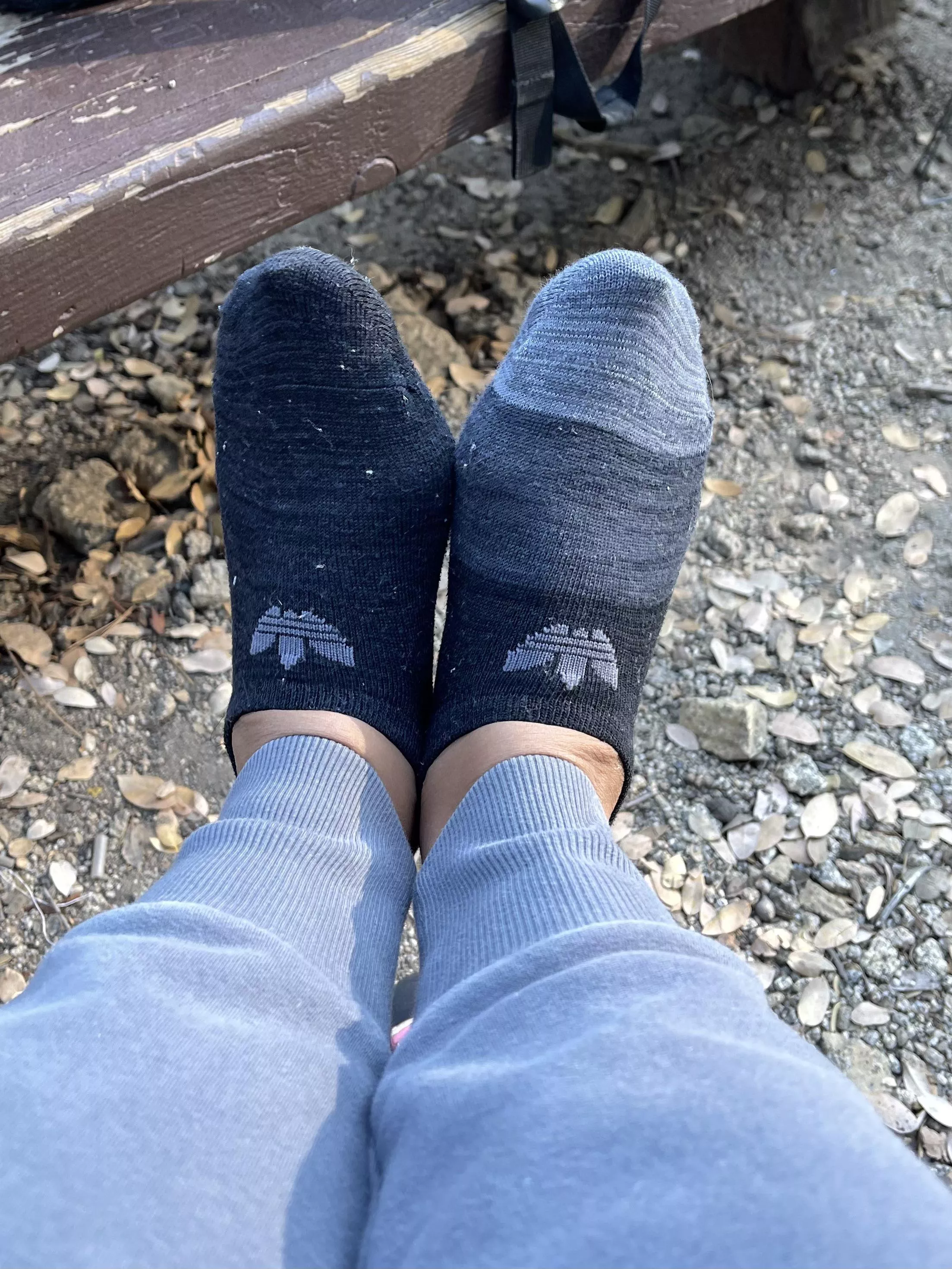 Sweaty dirty camping socks, should I keep wearing them today? 😏😈