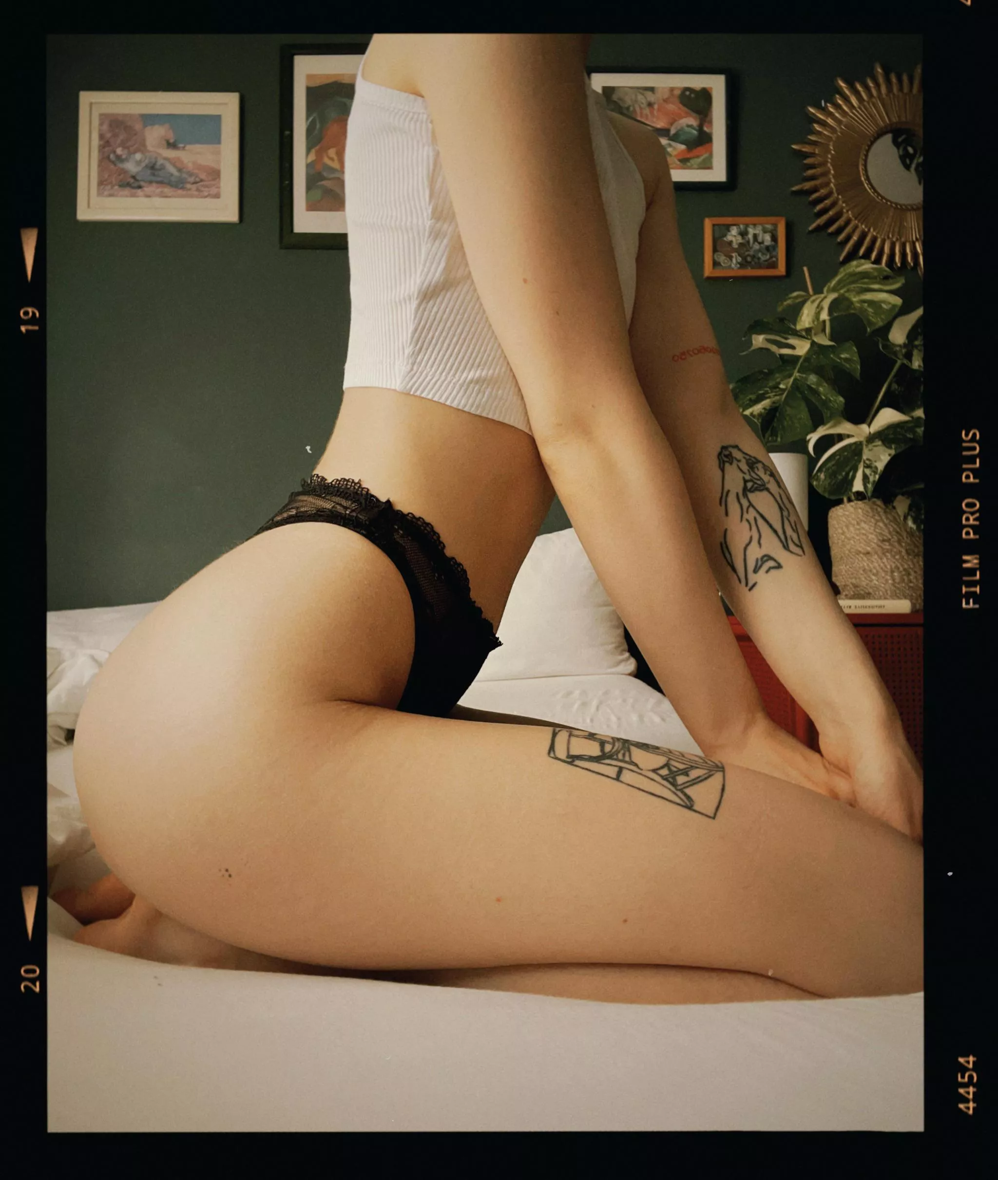 🍑