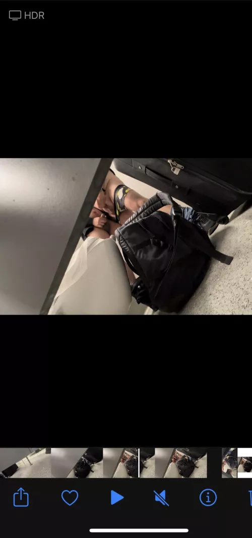 Bears at the airport letting it out🐻 🐻