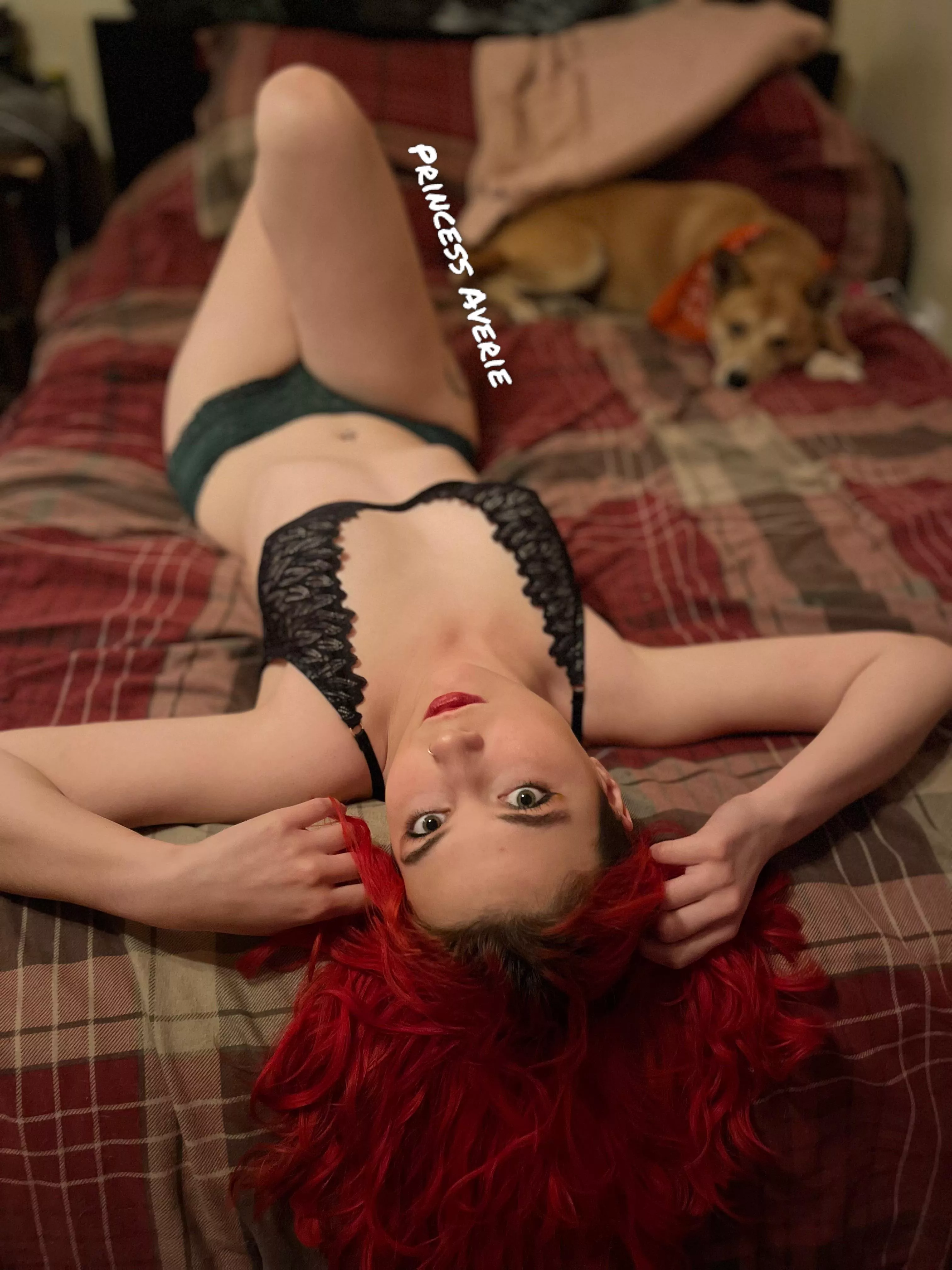 Ignore my dog in the background lol π
College slut π
B/G π JOI π Customs π Solo π Cheap Video Calls πSextingπ FREE onlyfans π Ignore my dog in the background lol π
College slut π
B/G π JOI π Customs π Solo π Cheap Video Calls πSextingπ FREE onlyfans π