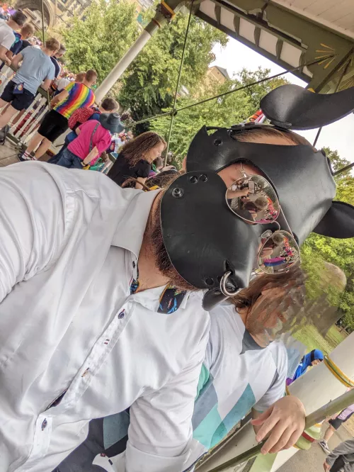 Just a pup waiting for a pride parade