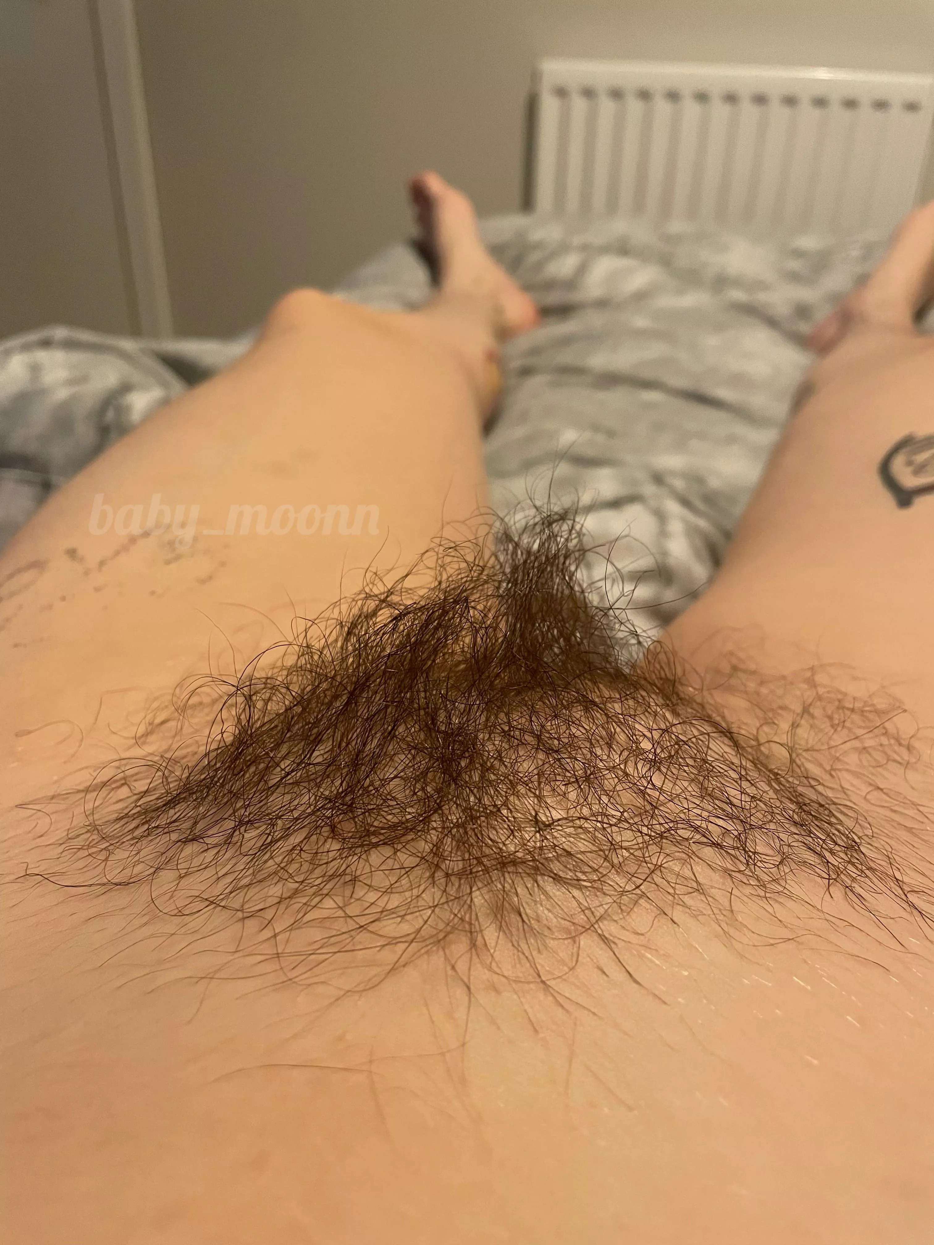Messy bush!