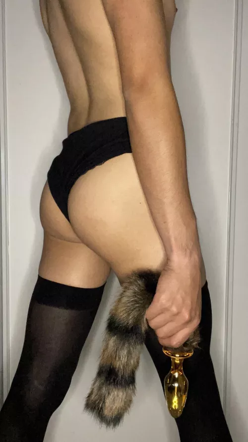 Should I put my tail in? 😏