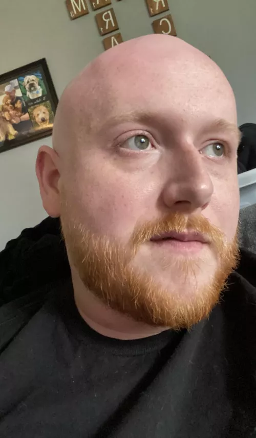 Trust me, I used to have a great head of red hair 😩