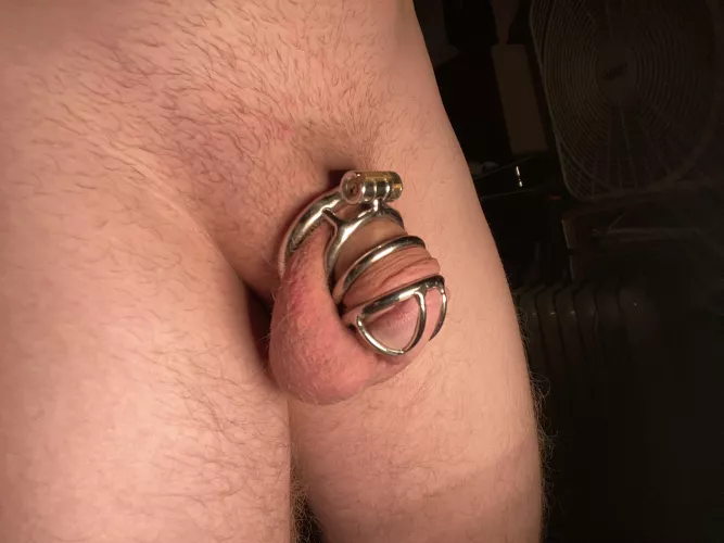 been about 4 days after not using a cage for a couple months.. really happy being back in it