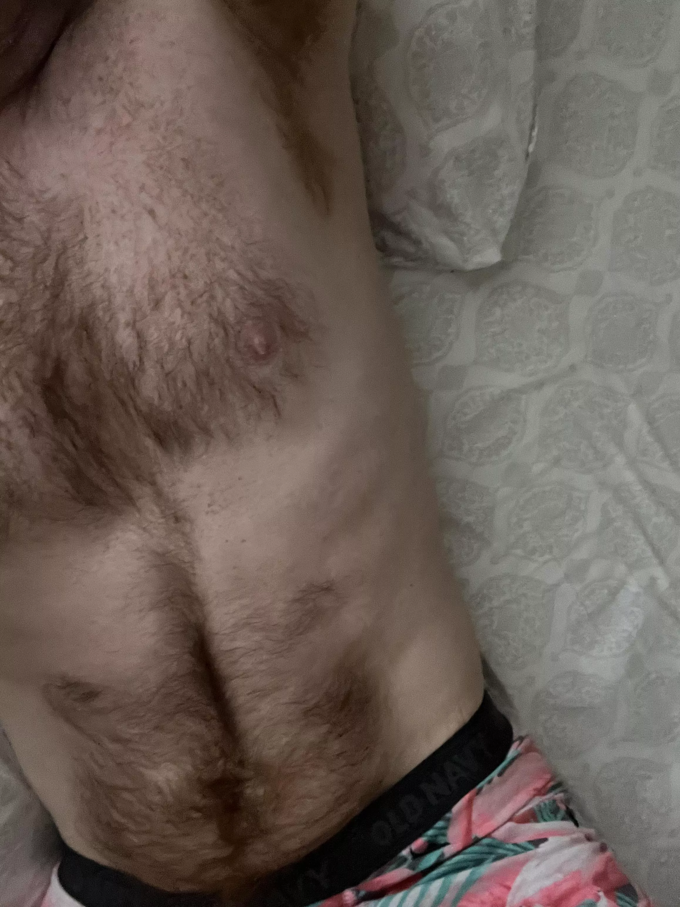 Body hair appreciation post, what’s your favorite area on me?