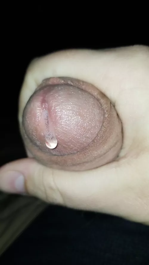Dripping and ready for a mouth to help clean me up!