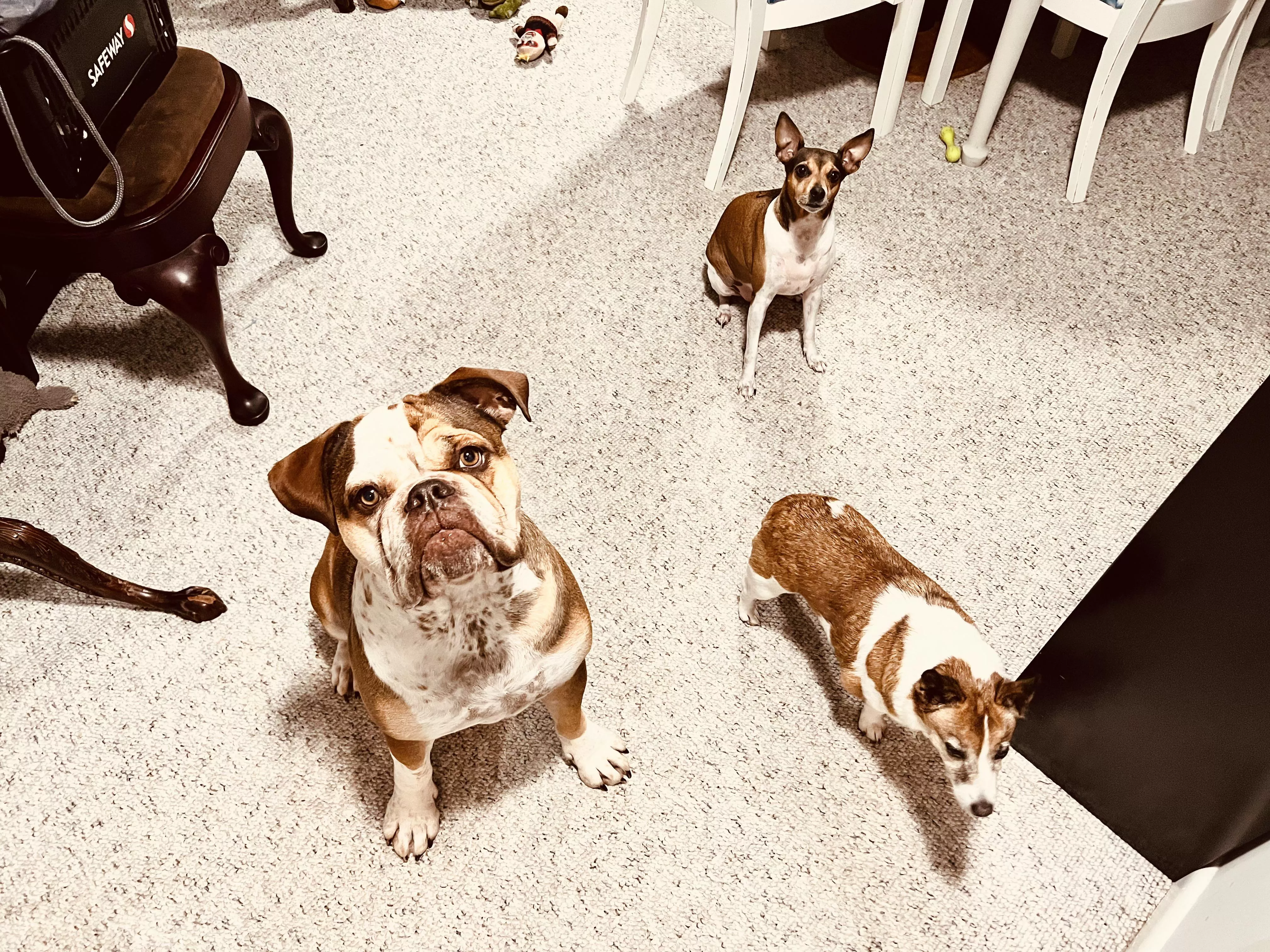 Squad Goals💕😍