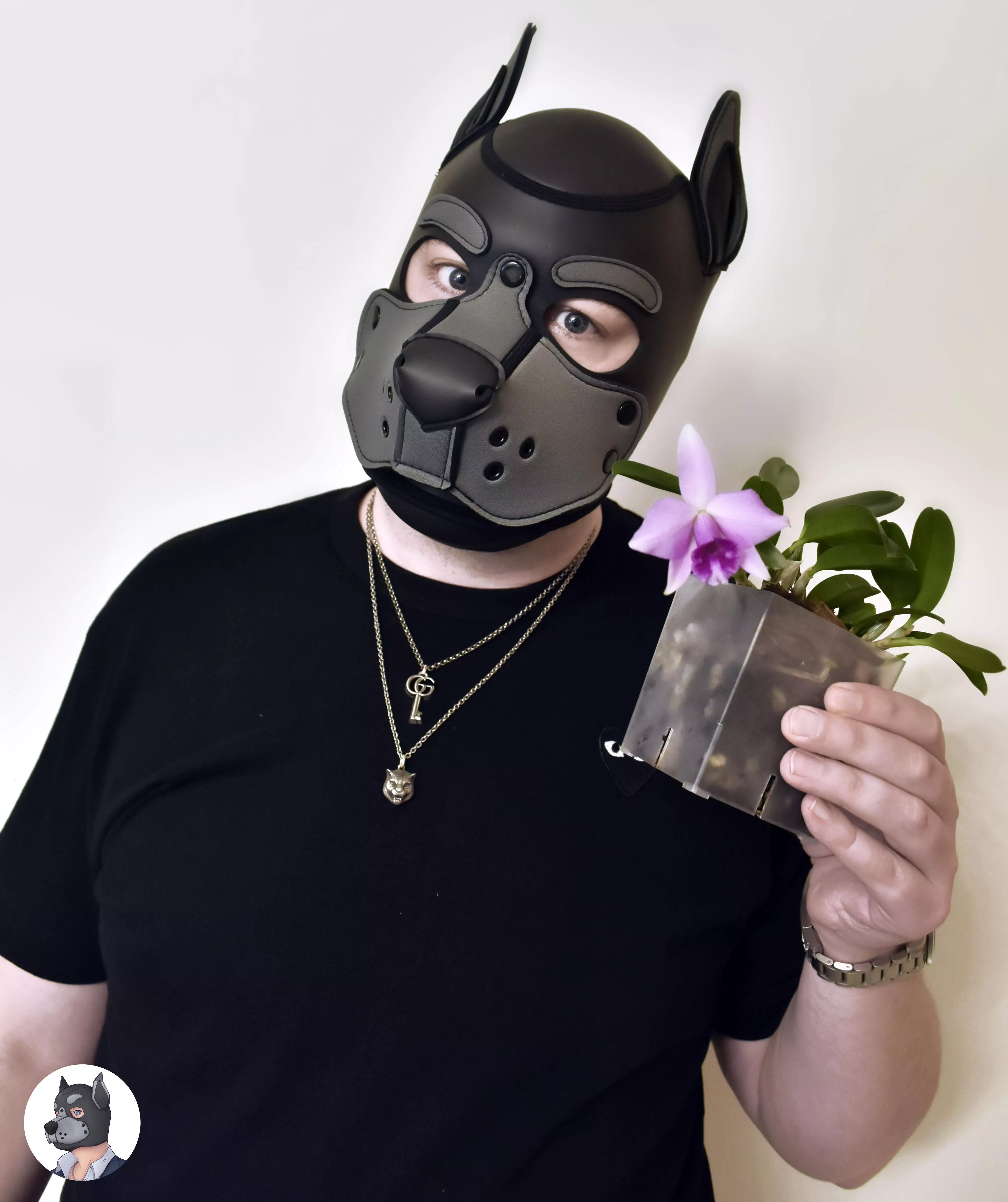 Wooooofy is a tropical orchid plant daddi! 🐺 🐾