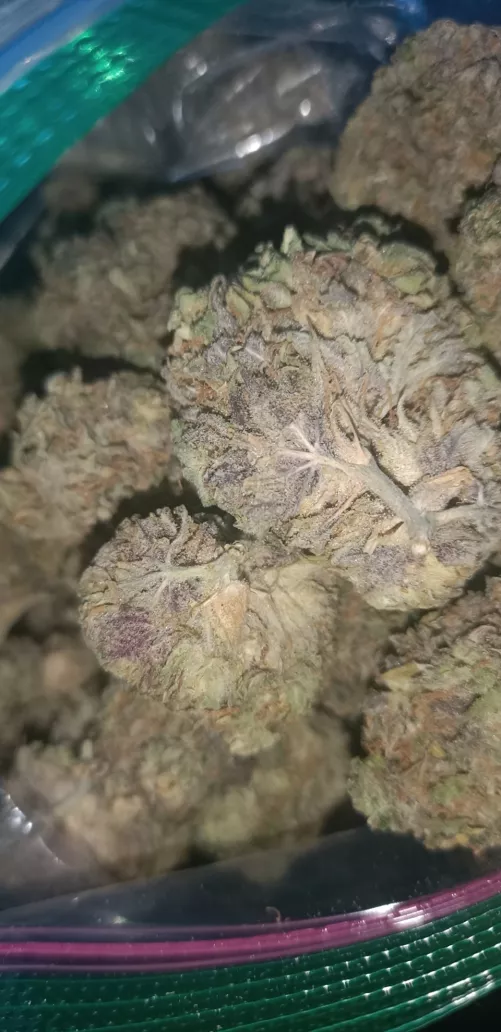 Am I allowed to post the bud I have? 🍀💜 I'm still a cutie 420 girl 🌬️💨