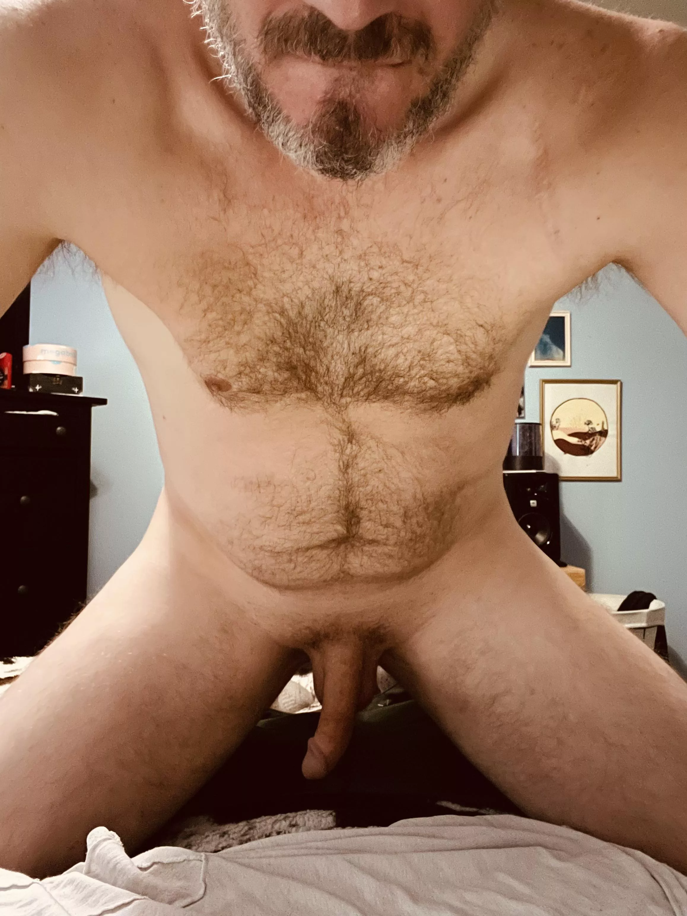 Daddy’s Home (41) Silverfox