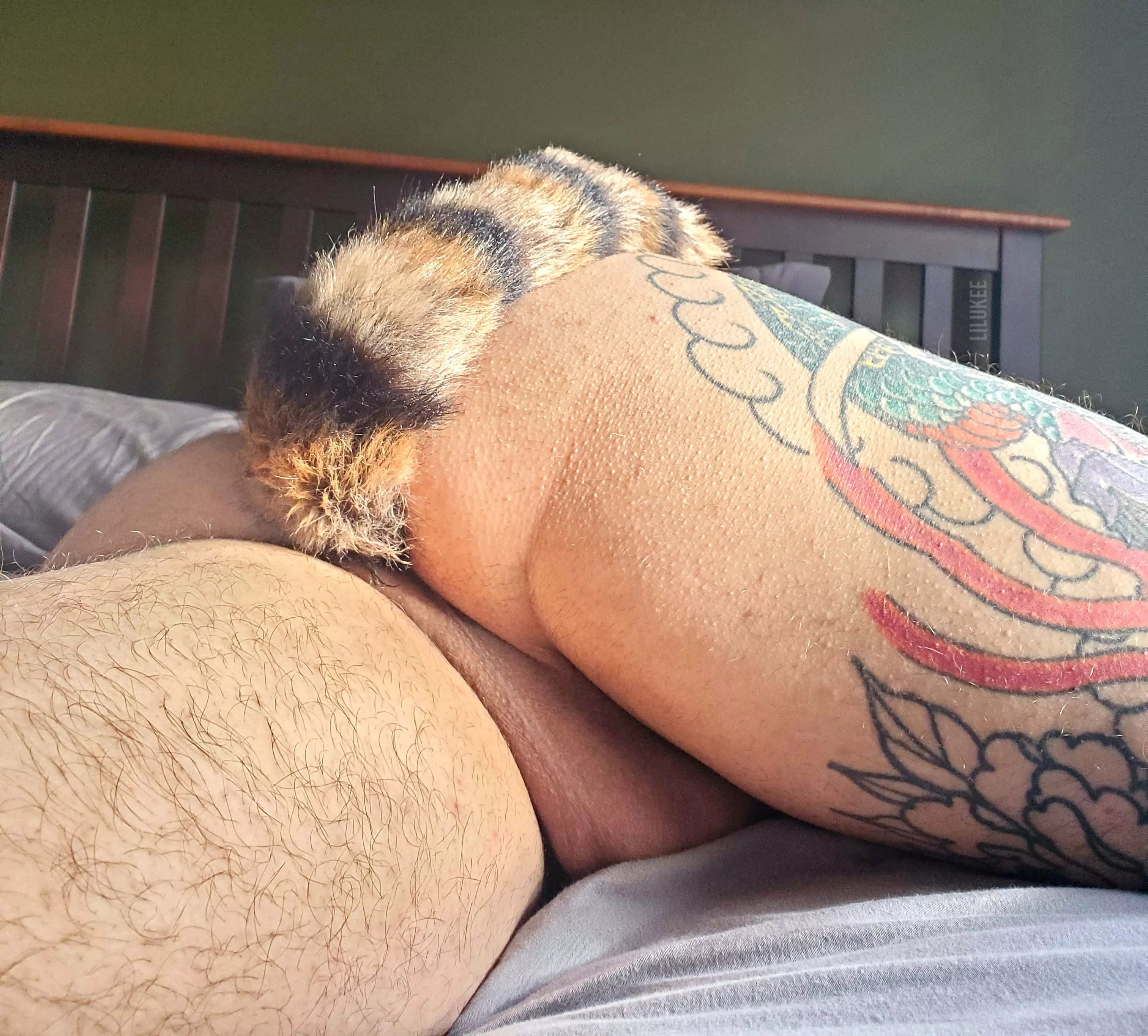 feeling frisky