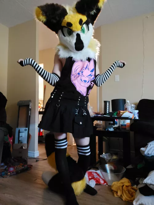 Happy fursuit Friday!