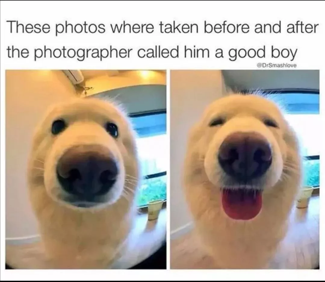 I love getting called a good boy