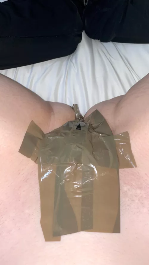 Master keeps his hole shut when not in use
