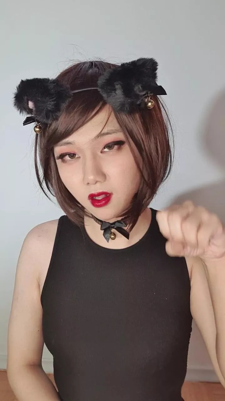 Meow 🐱