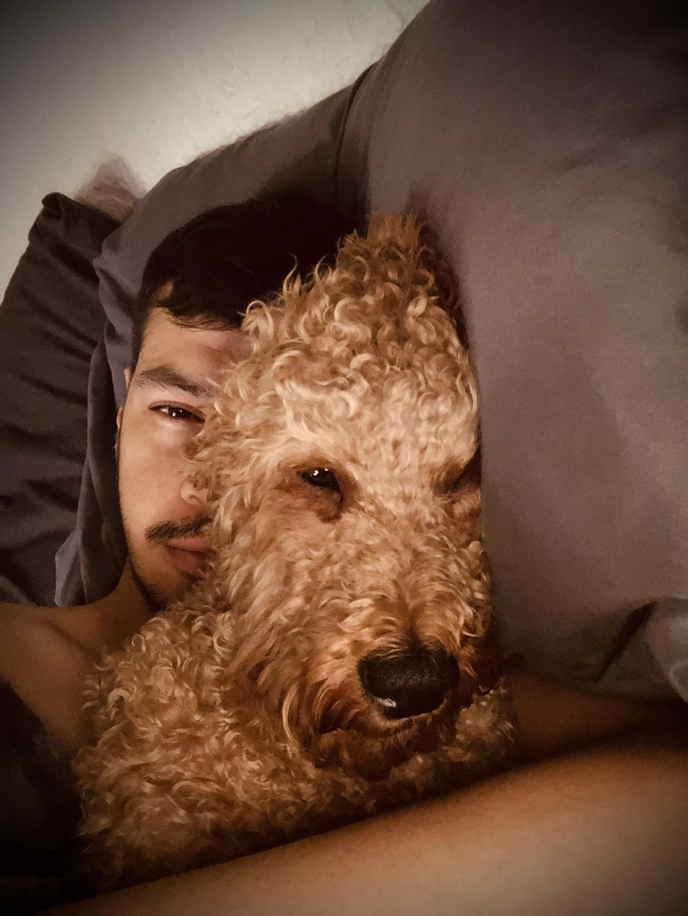 Morning boys! We can’t get out of bed!