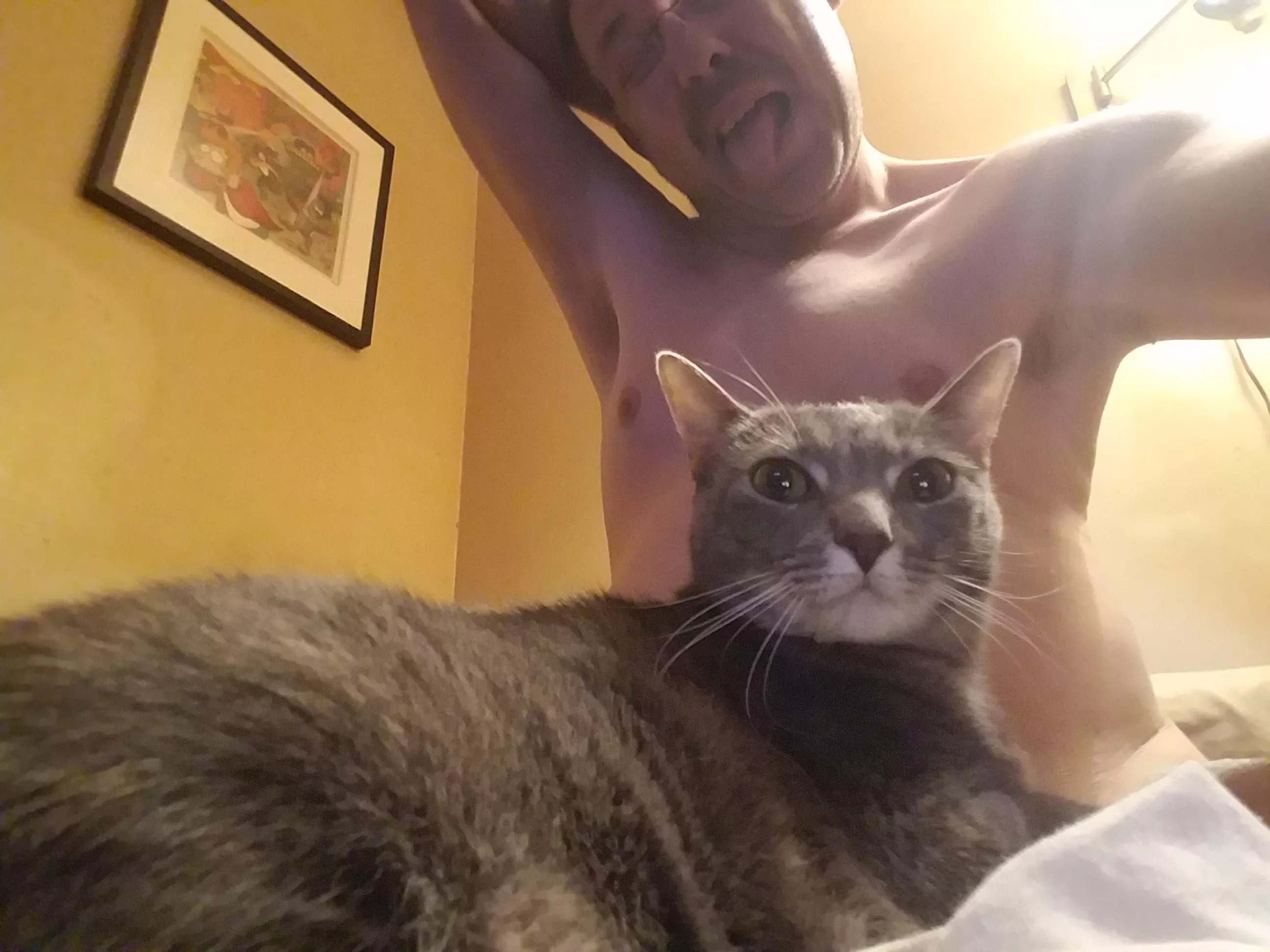 Mynx, my stinks, and Futurama