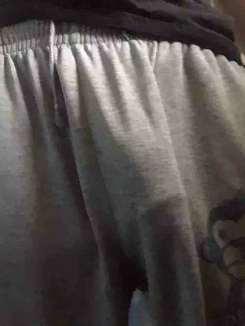 Perfect outline for the store