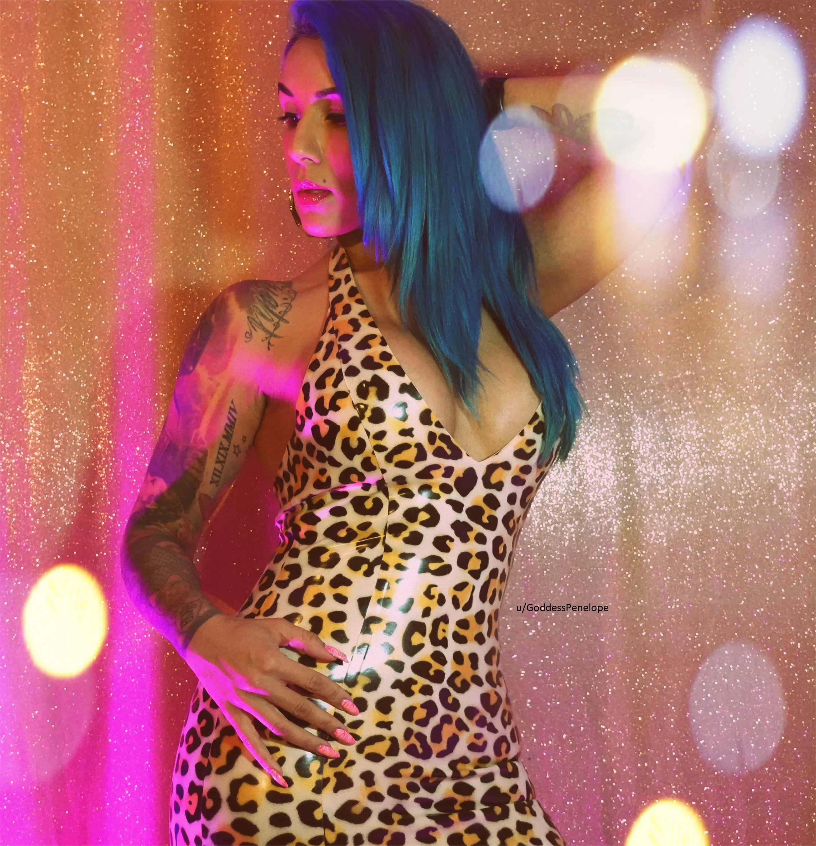 Shiny leopard